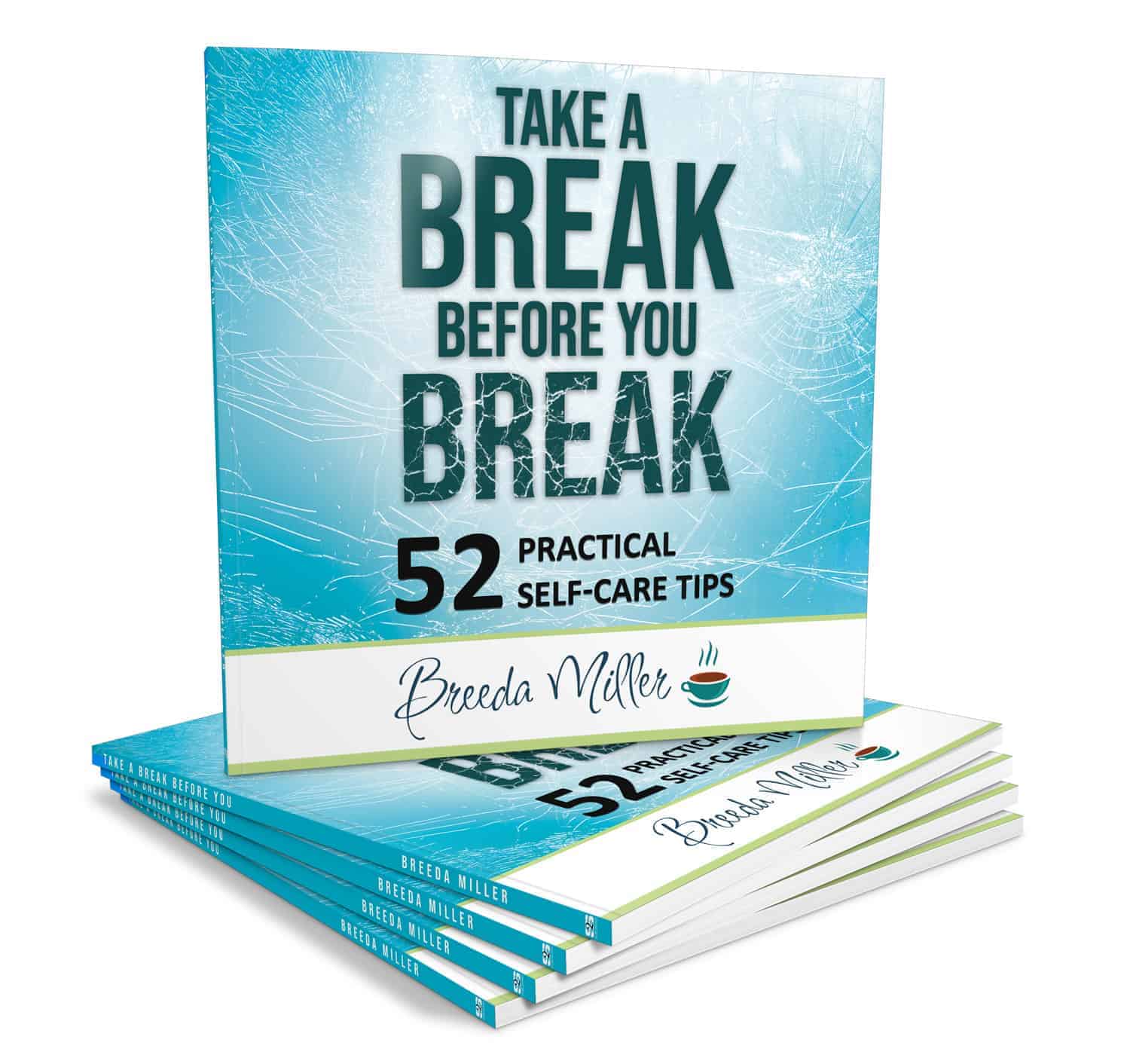 Take a Break Before You Break Book